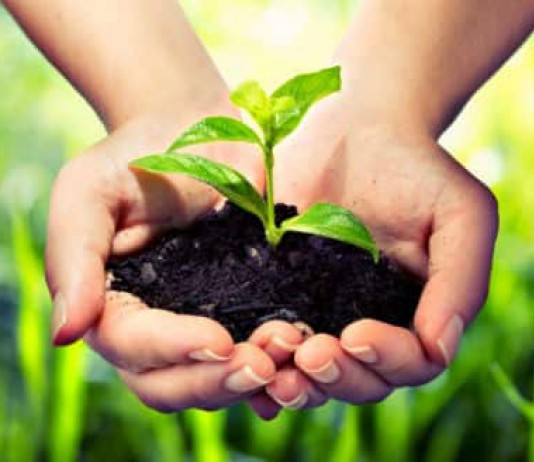 Điều kiện thành lập cơ sở giáo dục có vốn đầu tư nước ngoài