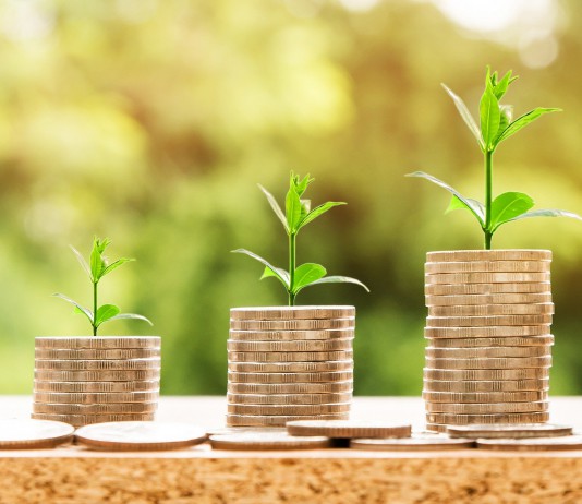 Vốn doanh nghiệp (Capital) là gì?