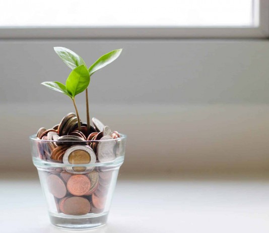 Các quy định về nộp thuế