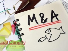 Các hình thức M&A là gì?