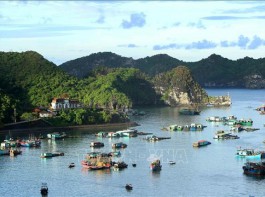 Cổ phiếu ngành du lịch và những thông tin quan trọng không thể bỏ lỡ