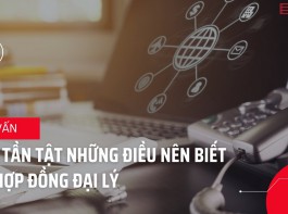 Những vấn đề cần biết liên quan hợp đồng đại lý