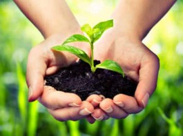 Doanh nghiệp phải bảo hộ thương hiệu vì sao?