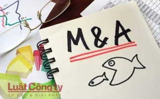 Các hình thức M&A là gì?
