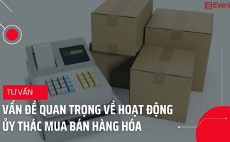 Công ty-chủ sở hữu -công ty, doanh nghiệp là gì?