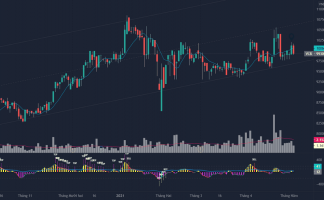 Có nên mua cổ phiếu Vietcombank lúc này không?