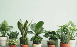 So sánh tập quán thương mại quốc tế Incoterm 2010 và Incoterm 2020