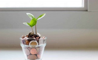 Trình tự, thủ tục khoanh nợ tiền thuế, quy định thế nào?