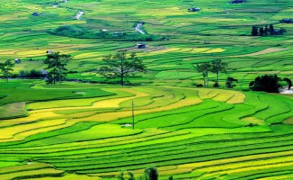 Góp vốn kinh doanh bằng quyền sử dụng đất