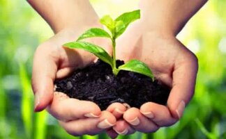 Tất tần tật về quyền và giới hạn quyền đối với giống cây trồng - Cần biết tránh mất quyền lợi!